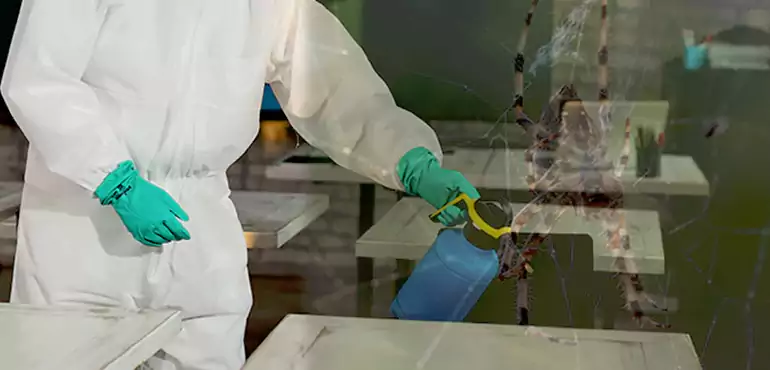 Why Buyers Still Want Homes With Pest Infestations in Worcester, MA?