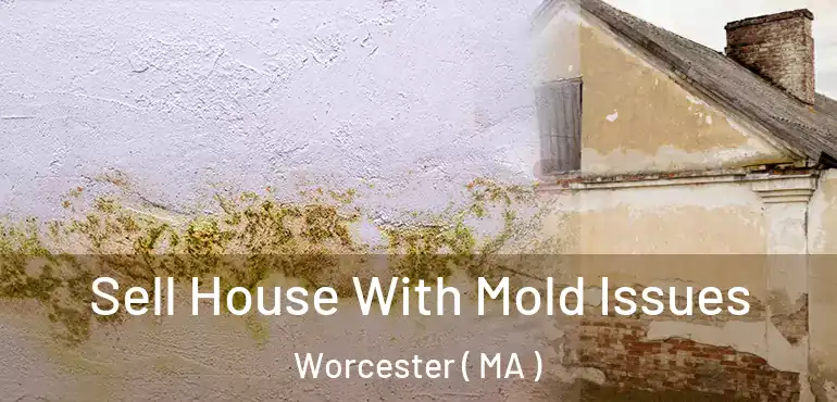  Sell House With Mold Issues Worcester ( MA )